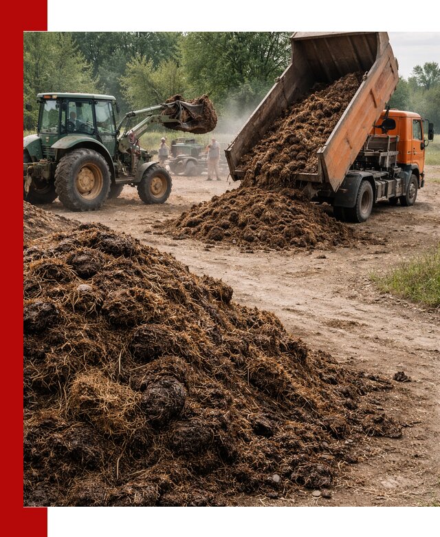Доставка навоза самосвалами в Камне-на-Оби для сельхозпотребностей